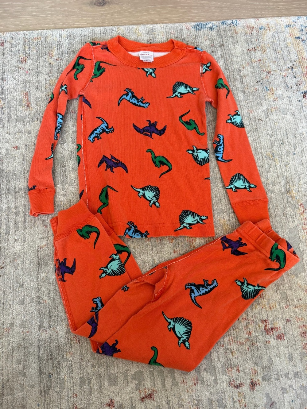 Hanna Andersson Dinosaur Pajamas Set Size 4